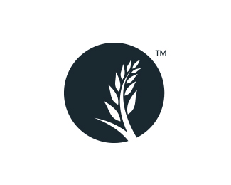 clients-logo